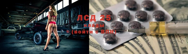 винт Алзамай