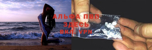 винт Алзамай