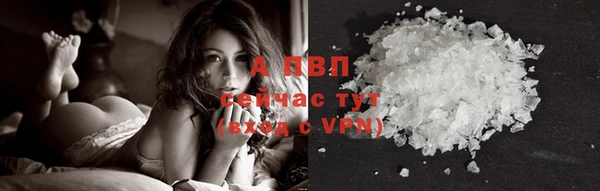винт Алзамай