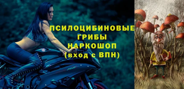 винт Алзамай