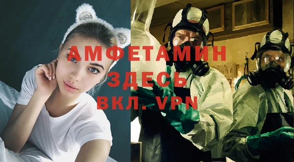 крисы Алексин