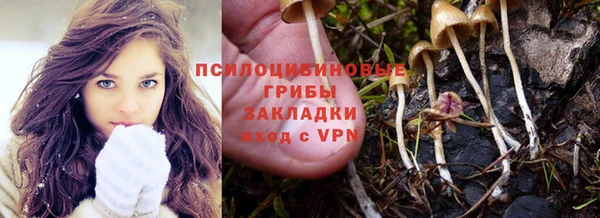 винт Алзамай
