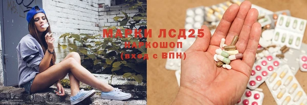 крисы Алексин