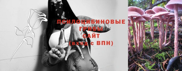 винт Алзамай